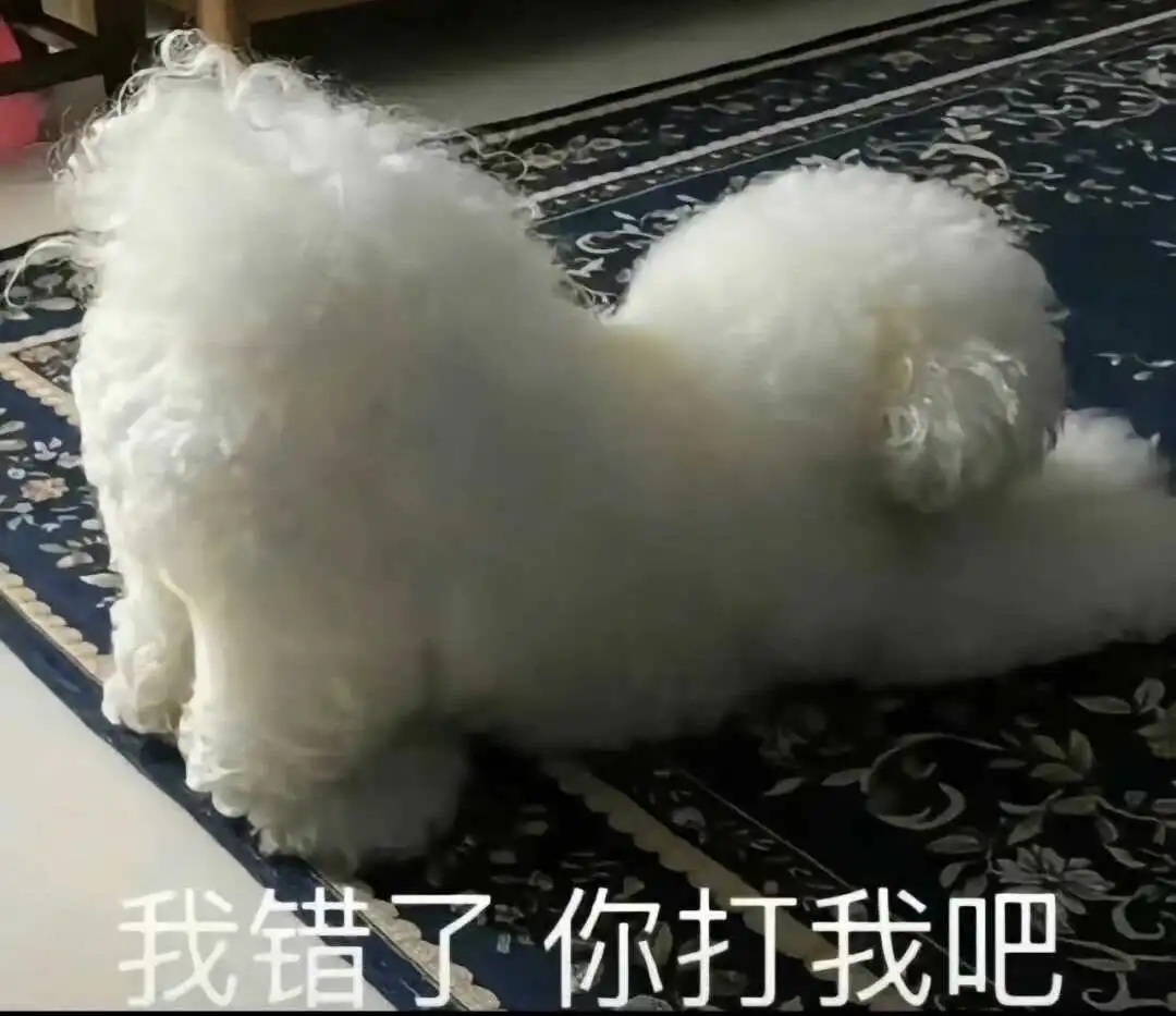西檬之家-字母圈新人入圈指南：BDSM核心术语与SSC原则
