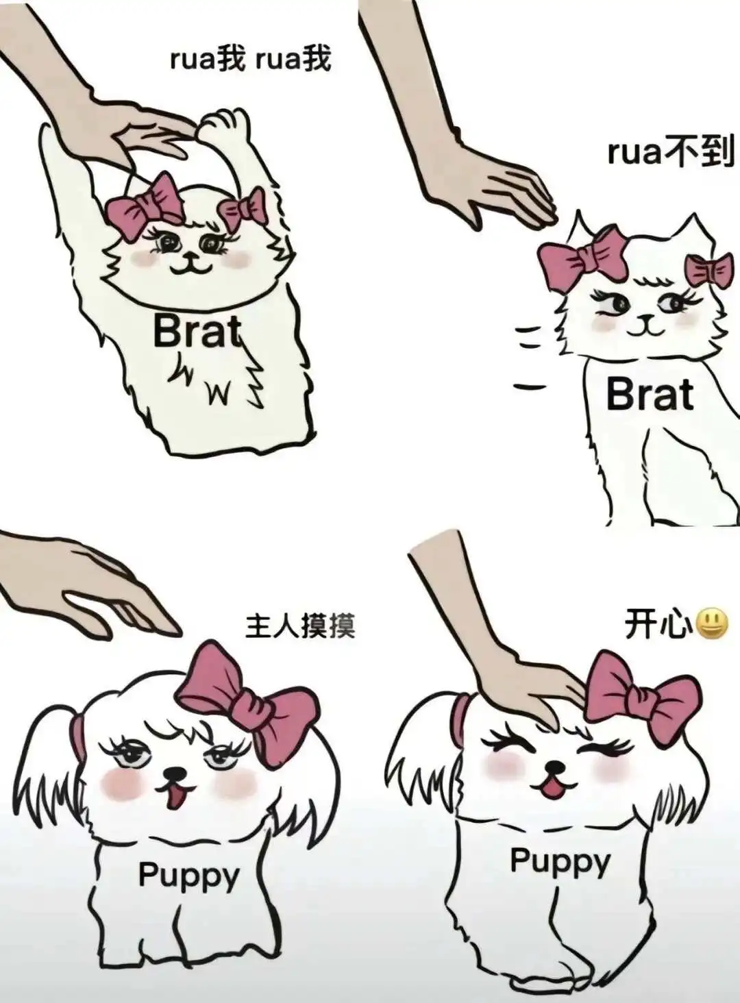 西檬之家-ddlg是什么？字母圈角色与边界指南