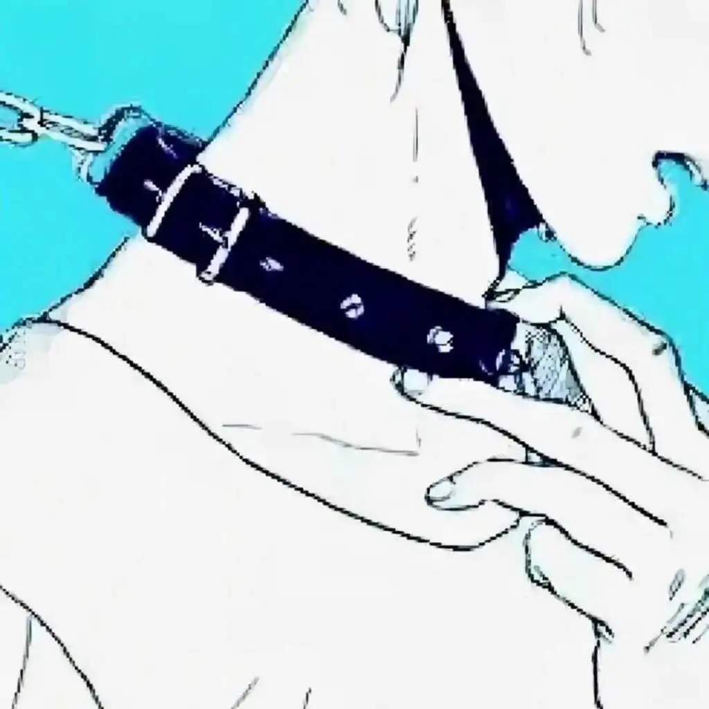 西檬之家-DS关系新人入门指南