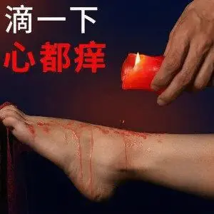 西檬之家-管教：字母圈新人的权威指南