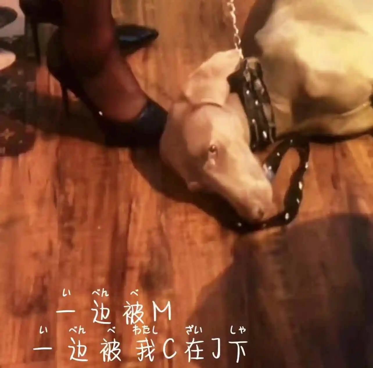 Ddlg是什么 - 2023_11_07_20_50_IMG_8911