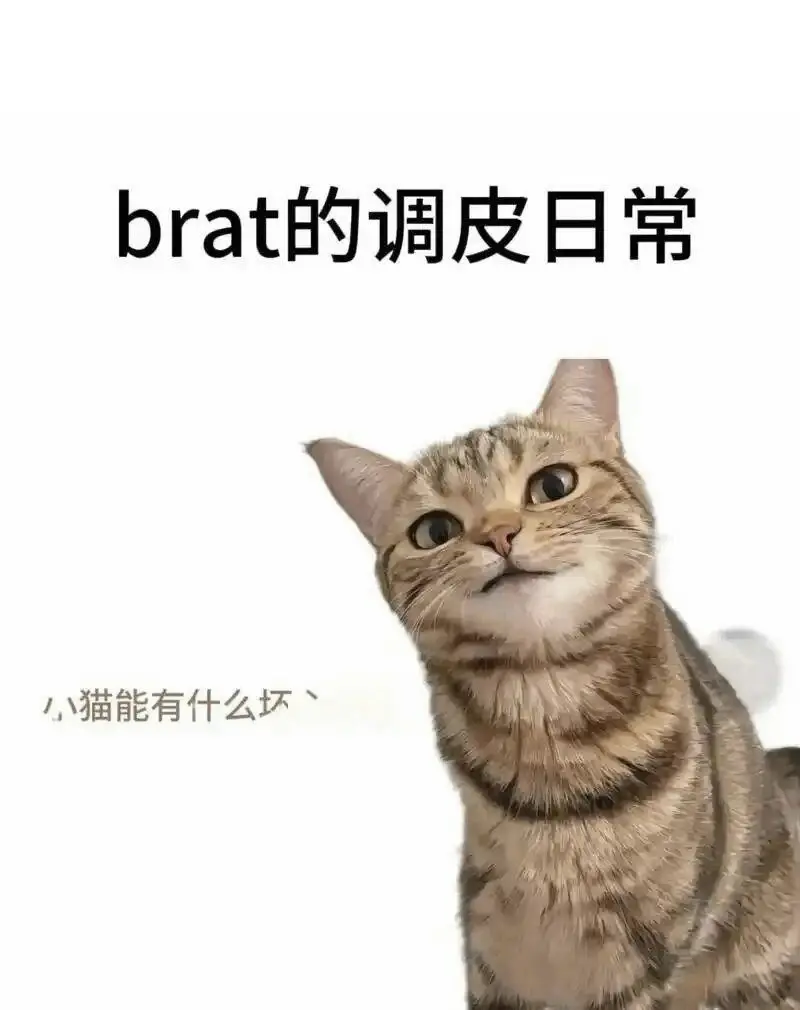 西檬之家-M是什么？字母圈受虐者的指南